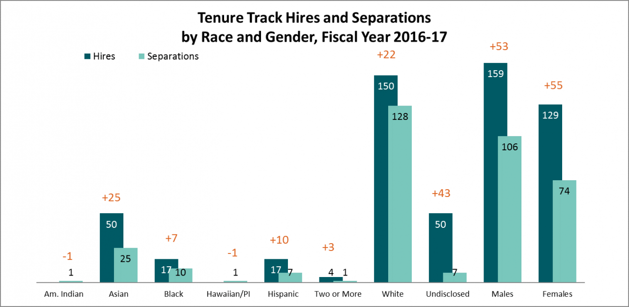 Tenure Track Hires and Separations by Race and Gender, Fiscal Year 2016-17